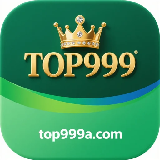 top999 logo